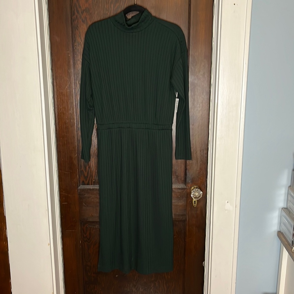 NWT Ribbed Turtleneck Dress